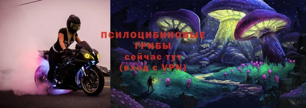 PSILOCYBIN Баксан