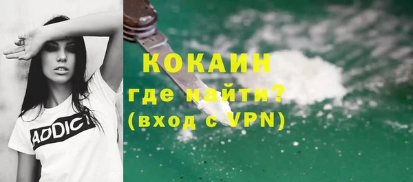 шишки Покров
