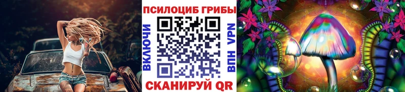 площадка состав Семёнов Псилоцибиновые грибы ЛСД наркота